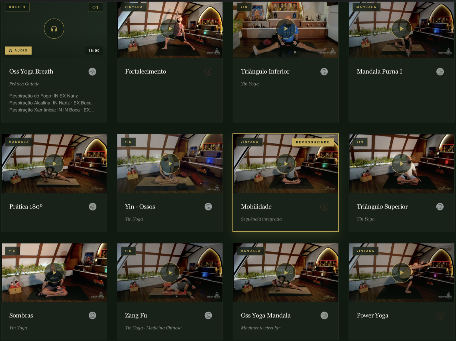 Biblioteca da plataforma Oss Yoga Dojo com cards de aulas de Vinyasa, Yin, Mandala e Breath